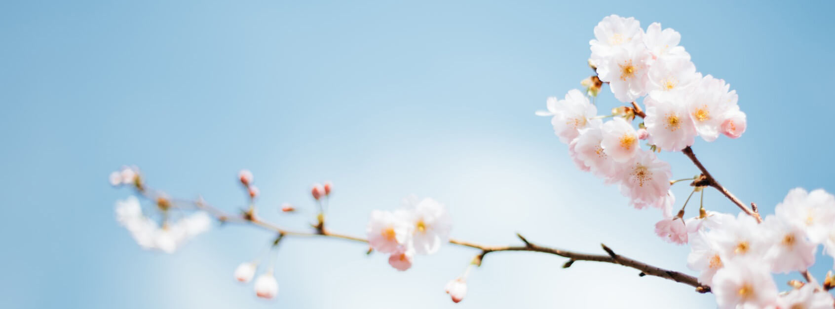 楼正毅